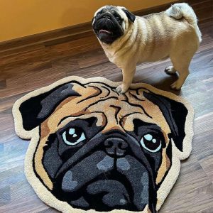 Blankets |   Personalized Floor Mats Custom Pet Photos Fun Gifts For Pet Lovers Blankets Blankets