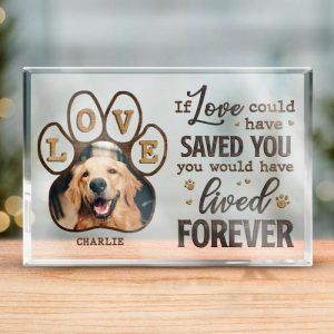 Frames |   Personalized Acrylic Photo Plaque If Love Could Have Saved You With Paw Design Memorial Gift For Pet Lover Frames Frames