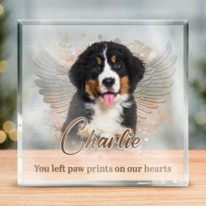 Frames |   Personalized Acrylic Photo Plaque You Left Paw Prints On Our Hearts With Angel Wings Design Memorial Gift For Pet Lover Frames Frames