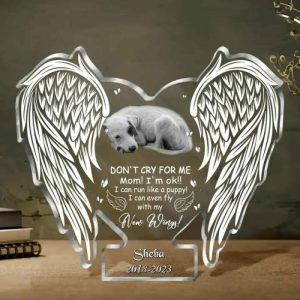 Frames |   Personalized Acrylic Plaque Don’T Cry For Me I Can Fly With My New Wings Memorial Gift For Pet Lover Frames Frames