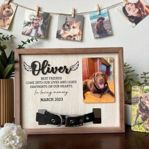 Frames |   Personalized Pet Collar Frame Custom Photos To Remember Your Pet Frames Frames