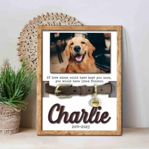 Frames |   Personalized Pet Collar Frame Memorial Gift For Cute Dogs Frames Frames