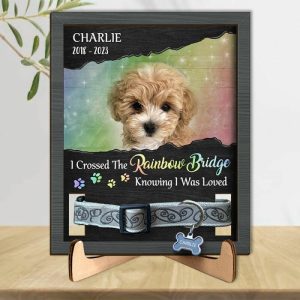 Frames |   Personalized Picture Frame I Crossed The Rainbow Bridge Knowing I Was Loved With Dog Collar Design Memorial Gift For Pet Lover Frames Frames