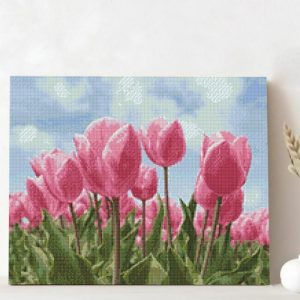 Frames |   Tulips Diamond Painting Beautiful Present For Your Love Frames Frames