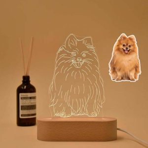 Lamps |   Custom 3D Pet Photo Night Light Home & Living Lamps