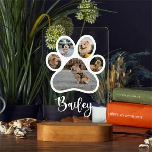 Lamps |   Personalized Pet Paw Print Acrylic Night Light With Wood Stand Home & Living Lamps