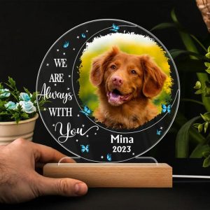 Lamps |   Personalized Picture Acrylic Lamp With Butterflies Pattern Beautiful Gift For Pet Lover Home & Living Lamps