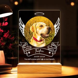 Lamps |   Personalized Picture Night Light With Angel Wings Pattern Cute Gift For Pet Lover Home & Living Lamps