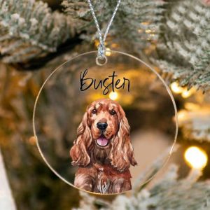 Ornaments |   Custom Pet Photo And Name Acrylic Decoration Christmas Gifts For Pet Lovers Home & Living Ornaments