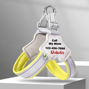 Ornaments |   Customize Pet Harness To Add Pet Name And Phone Number To Prevent Lost Pets For Pet Owners Home & Living blue