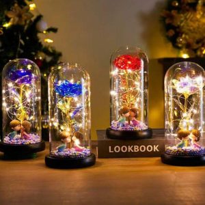 Ornaments |   Galaxy Rose Glass Lampshade Preserved Flower Cartoon Couple Night Light Gift Home & Living Ornaments