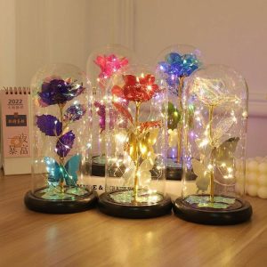 Ornaments |   Galaxy Rose Glass Lampshade Preserved Flower Rose Butterfly Decoration Night Light Gift Home & Living Ornaments