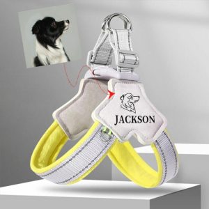 Ornaments |   Personalize Your Pet’s Harness With Your Pet’s Name And Photo For Pet Owners Home & Living blue