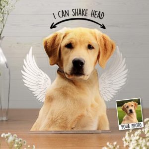 Ornaments |   Personalized Bobblehead Acrylic Stand Custom Pet Photo Wings Design Memorial Gift For Pet Lover Home & Living Ornaments