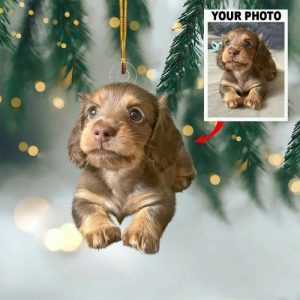 Ornaments |   Personalized Christmas Decorations Customized Pet Photos Warm Christmas Gifts Home & Living Ornaments