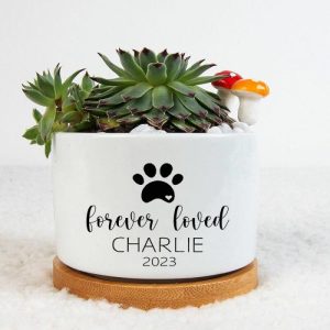 Ornaments |   Personalized Name And Date Flower Pot With Animals Footprint Pattern Cute Gift For Pet Lovers Home & Living Ornaments