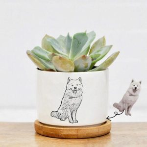 Ornaments |   Personalized Picture Flower Pot Minimalist And Creative Gift For Pet Lover Home & Living Ornaments