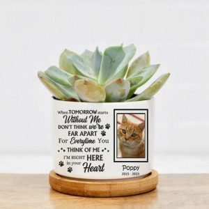 Ornaments |   Personalized Picture Flower Pot With Custom Name And Date Memorial Gift For Pet Lover Home & Living Ornaments