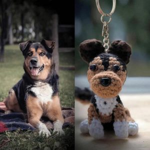 Ornaments |   Personalized Wool Keychain With Custom Head Photo Fun Gift For Pet Lovers Home & Living Ornaments